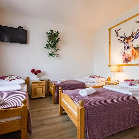 Goscinne Goraleczka Bed & Breakfast Szaflary
